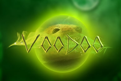 Voodoo слот ПлейДом Казино